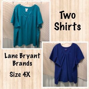 Two Plus Size V-Neck T-Shirts